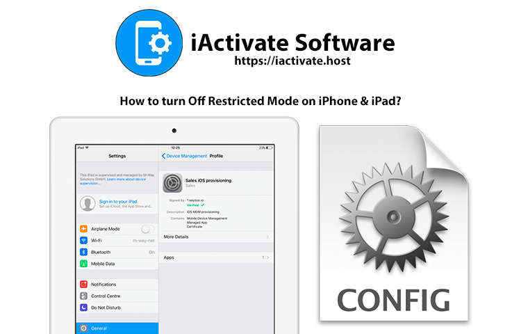 How to turn Off Restricted Mode on iPhone