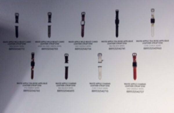 Apple Watch to Get Some Cute Bands in 2016